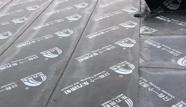 屋面补漏全攻略：专业施工与注意事项